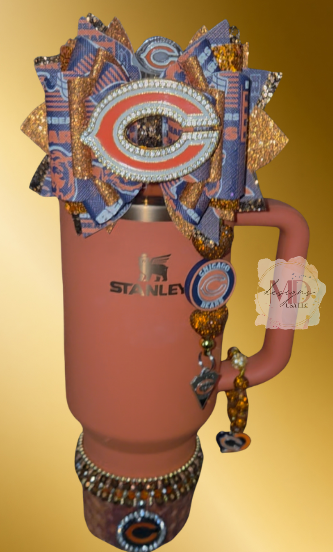 Bears Accessory Set