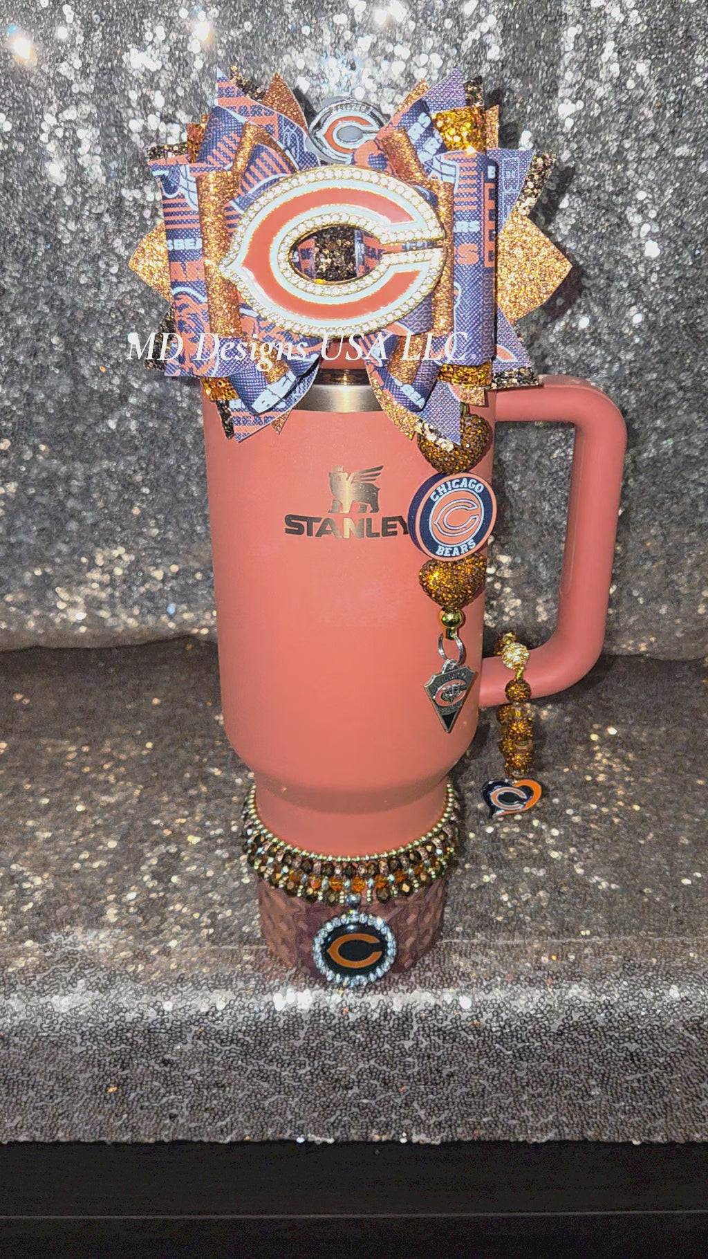 Bears Accessory Set
