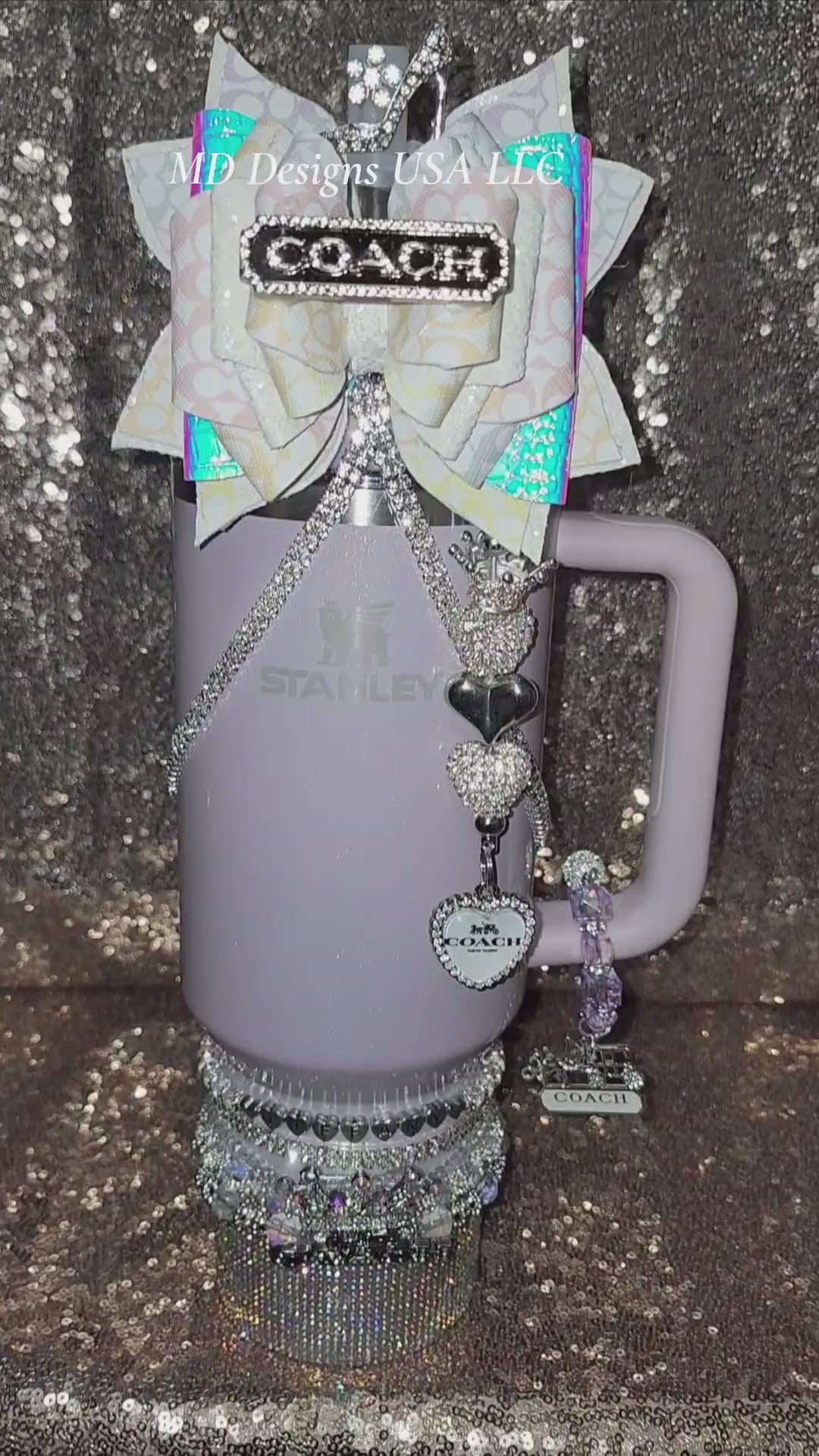 Aster Silver Coach Carriage Accessory Set