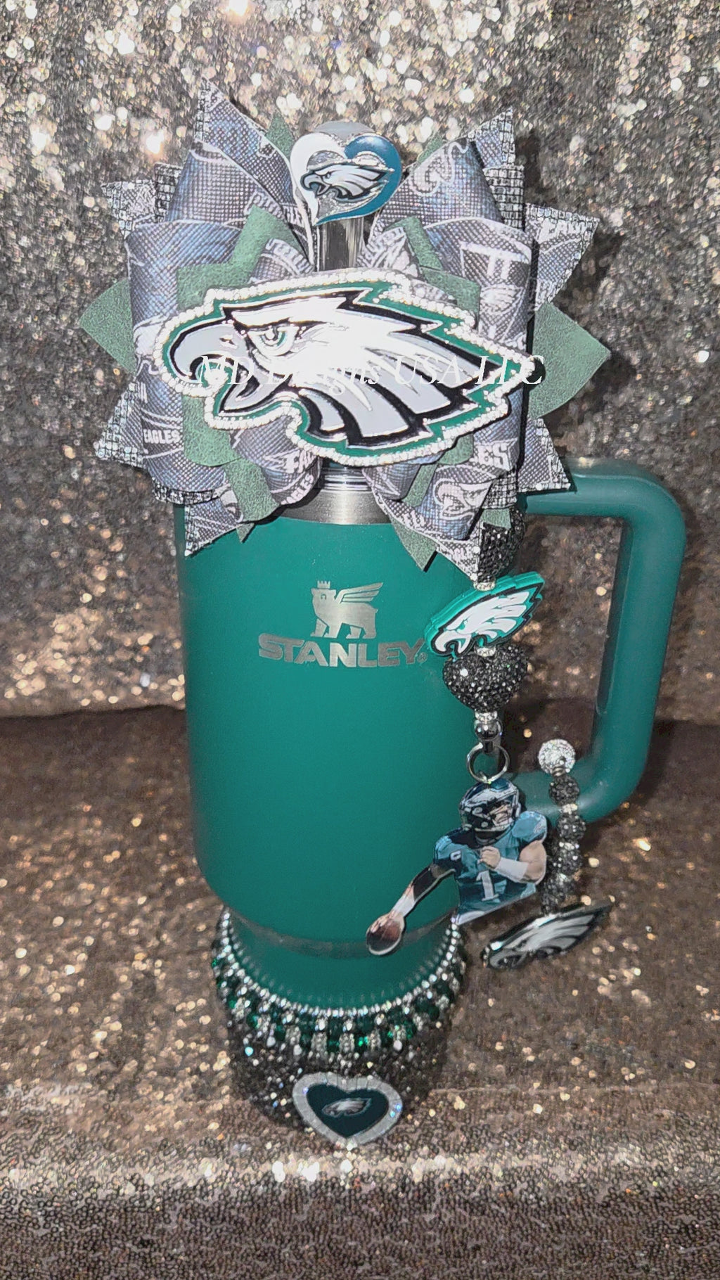 Eagles Accessory Set