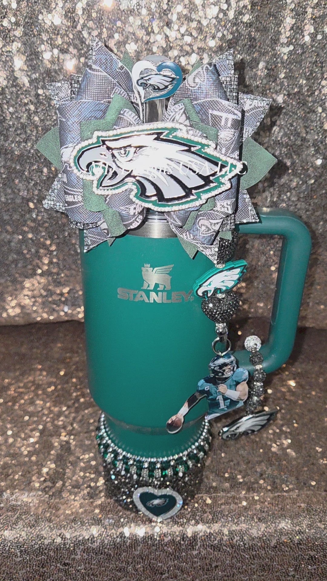Eagles Accessory Set